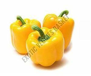 Organic Fresh Yellow Capsicum, Storage Tips : Keep In Cold Storage