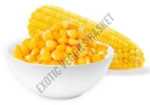 Organic Peeled Sweet Corn, Color : Yellow