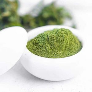 Natural Plant Extract Pure Stevia Powder
