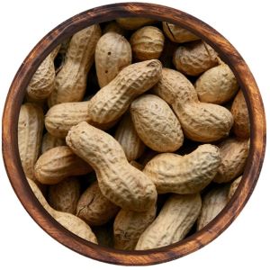 Ground Nut, Color : Brown