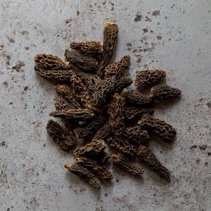 Wild Morels