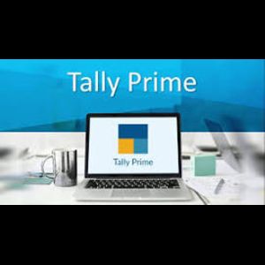 Tally Accounting Software