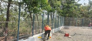 Chin Link Fencing Work