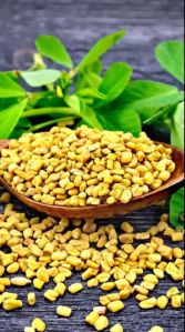 Fenugreek Extract