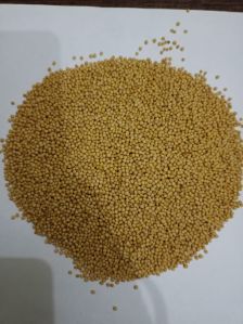 mustard seeds mustard seeds