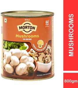 Canned Mushroom in Brine 800g for Cooking