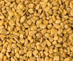 Fenugreek (Methi) Seeds, Color : Yellowish Brown for Culinary Medicinal