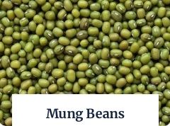 Mung Beans, Packaging Type : Jute Bag