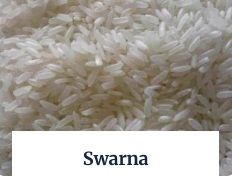 Swarna Non Basmati Rice
