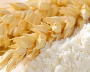 Whole Wheat Flour