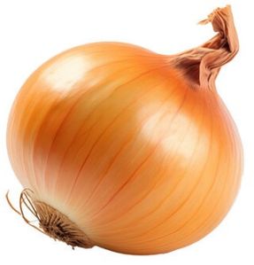 Fresh Red Onion for Cooking