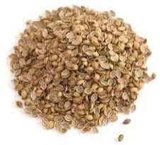 Cracked Coriander For Seasoning Dishes