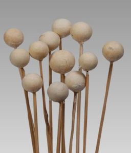 Natural Dried Exotic Ball Pod Bleach On Stem