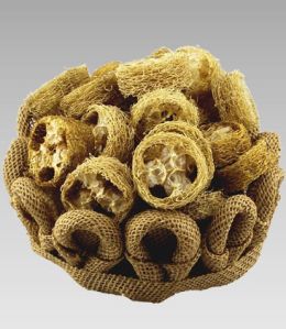 Luffa Cut Potpourri