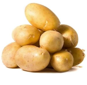 Fresh Potato, Color : Yellow for Consumption