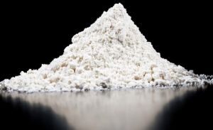 Chitosan Powder, Packaging Type : Bags Or Containers