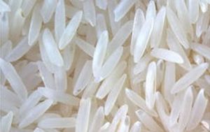 Sugandha White Raw Rice, Packaging Type : Bag for Cooking