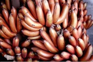 Red Banana