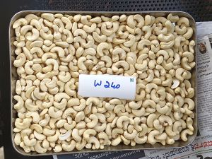 W240 Cashew Kernels