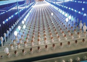 Stainless Steel PVC Electric Polished LED Bulb Aging Conveyor