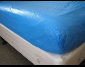Disposable Plastic Bedsheet