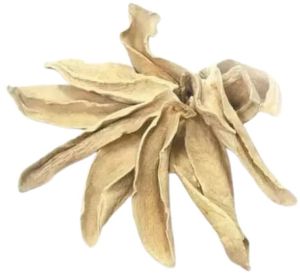 Dehydrated Amchur Slice for Saur, Cooking, Bakery