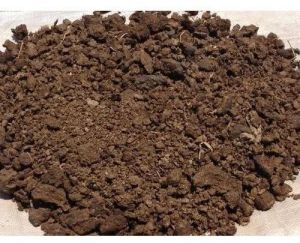 cow dung powder