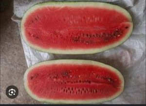 Organic Watermelon