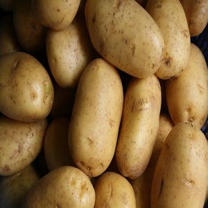 Fresh Indian Potato, Color : Brown for Cooking, Frying, Boiling