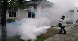 Mosquitoes Control Service