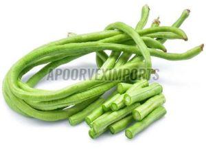 Organic Fresh Long Beans, Color : Green for Cooking