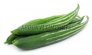 Fresh Snake Gourd