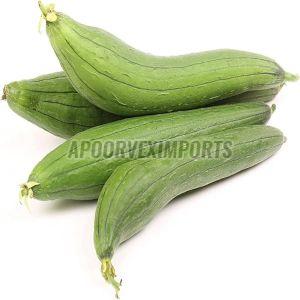 Organic Fresh Sponge Gourd, Color : Green for Cooking