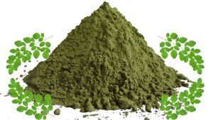 Natural Moringa Leave, Color : Dark Green, Packaging Type : Packet