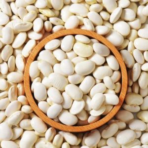 Organic Lima Beans, Packaging Size : 500g, 5Kg, 10Kg, 20Kg, 50Kg