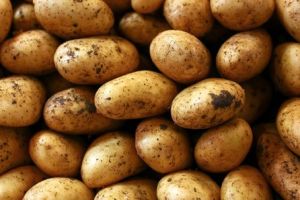 Fresh Brown Potato