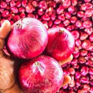 fresh red onion
