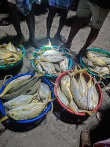 Tasty Kanyakumari Sea Foods