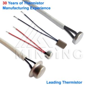 Special Shaped Probe Temperature Sensor