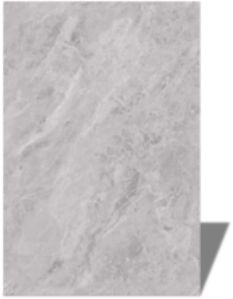 Terul Grey Vitrified Tiles