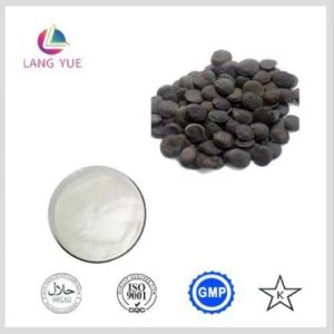 Griffonia Seed Extract Powder