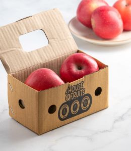 Corrugation Box for 2 Piece Apple