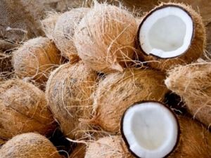 A Grade Brown Coconut