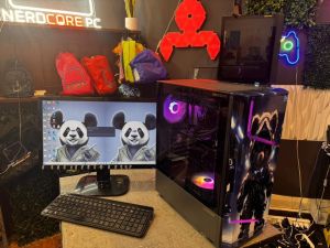 High Powered Custom Gaming Computer