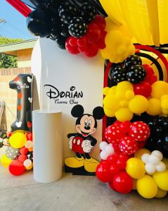 Theme Based Birthday Party Decoration Service