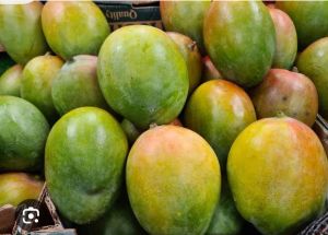 Fresh Mango Fresh Mango