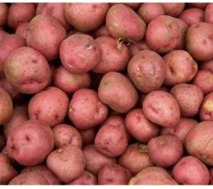 Fresh Lr Red Potato