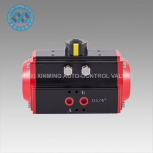 Pneumatic Actuator Valve