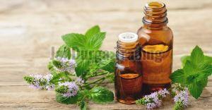 Cornmint Oil