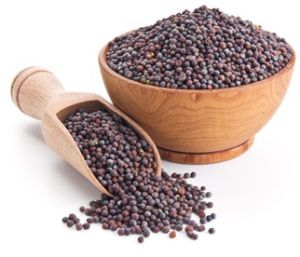 Mustard Seeds (Rai)